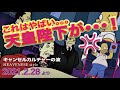 キャンセルカルチャーの波 これはやばい…天皇陛下が・・・!