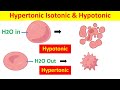 Cell Tonicity: Exploring Hypertonic, Isotonic, and Hypotonic Solutions