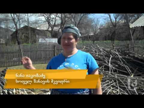 სოფელ ზანავის გადაუჭრელი პრობლემები [Video]