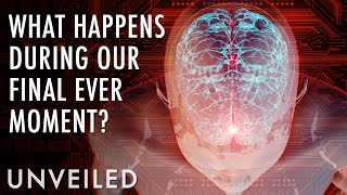 What Happens the Exact Moment We Die? | Unveiled