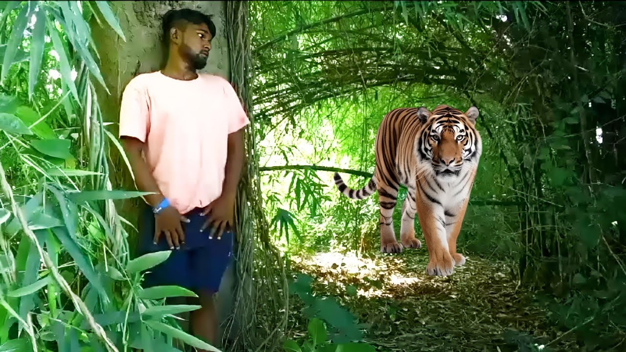 lion attack man ll lion attack man in forest ll lion attack hunter ll ...