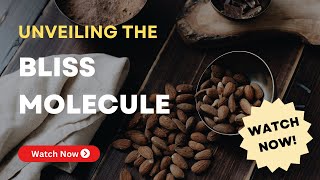 Unveiling the Bliss Molecule: Erik Lieux Explores the Power of Anandamide