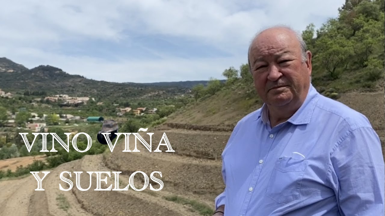 (43) VINO, VIÑA Y SUELOS
