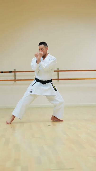 SHOTOKAN KARATE BLACK BELT (LEVEL 100) 🥋🔥