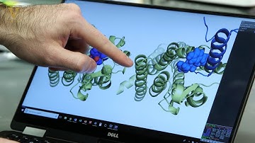 Characterizing ‘keyhole’ is first step to fighting obesity at cellular level