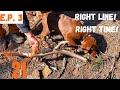 SHED HUNTING 2021 I RIGHT LINE AT THE RIGHT TIME I COLORADO PUBLIC LANDS DAY! I EP. 3