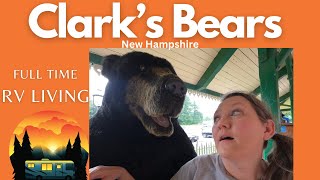 Clark's Bears in Lincoln New Hampshire - Amazing ! by Natural State Rebels 126 views 7 months ago 19 minutes