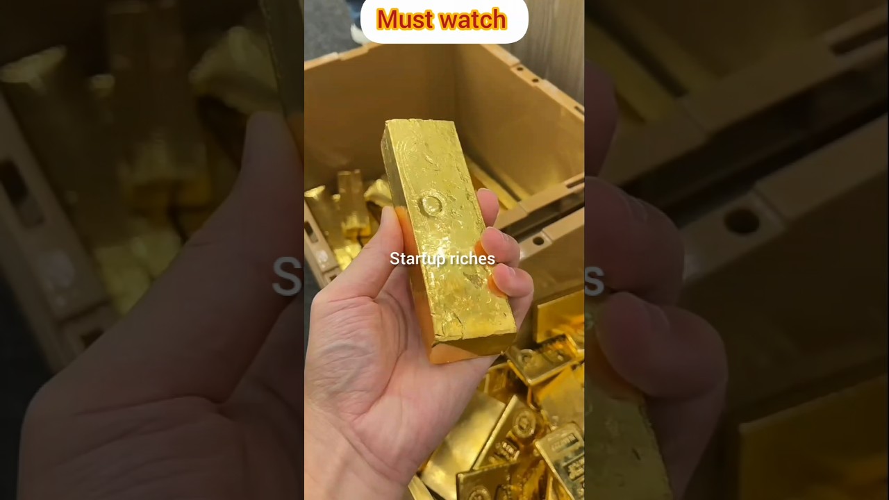 💰 Startup Riches: Inside the Golden World of Wealth! 🪙✨