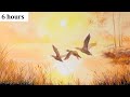 Relaxing Harp Music: Sleep, Meditation, Spa, Study | Instrumental Background Music ★51