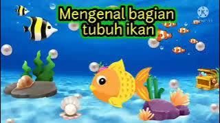 Pembelajaran PAUD#Bagian-bagian ikan dan fungsinya
