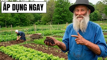 20 Mẹo Làm Vườn của người Amish Mà Bạn Ước Gì Biết Sớm Hơn