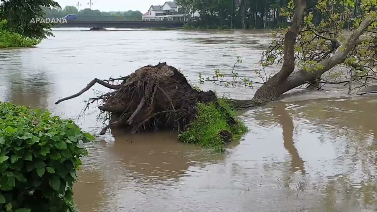 Hochwasser in Donauwörth, 02.06.2024