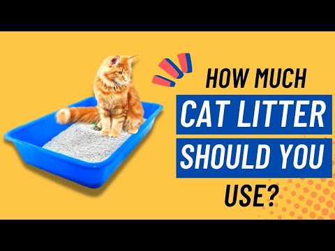 How Much Litter