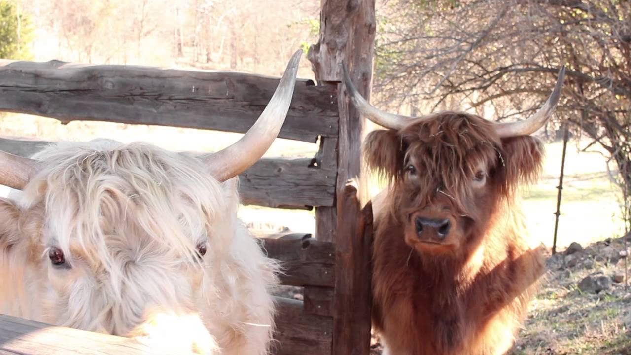 Educational Programming at Historic Rural Hill