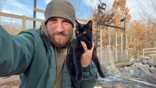 Comment un homme vit dans les montagnes, loin de la civilisation, avec ses animaux.