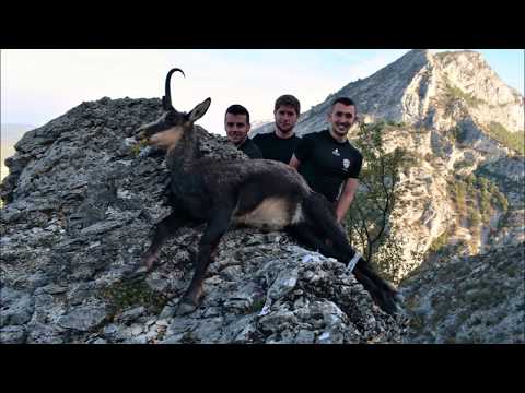 Vidéo: Le Chamois Absorbeur - Réseau Matador