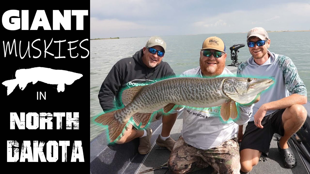 Fishing Giant Muskies in North Dakota YouTube