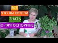 ГЛАВНЫЙ ПОМОЩНИК В САДОВОДСТВЕ И ЦВЕТОВОДСТВЕ - ФИТОСПОРИН! КАК И КОГДА ПРИМЕНЯТЬ!