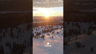 Sunshine 🌞❤️ || Full track in description 🥰 Enjoy 🎧 Use it in your Shorts, tiktoks and reels