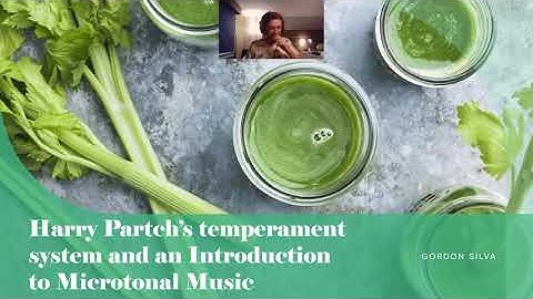 An introduction to Microtonality and the Music Theory of Harry Partch