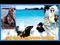 Viaje a la Isla Isabela-Historia-Islas Galápagos-Ecuador-Producciones Vicari.(Juan Franco Lazzarini)