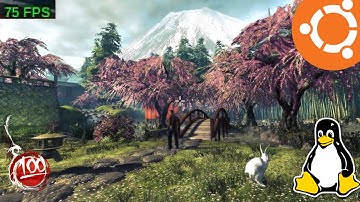 Shadow Warrior Gameplay on Ubuntu 15.04 (Native)