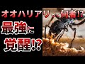 【ゆっくり】海外で大暴れ!日本の雑魚アリが米国を侵略⁉
