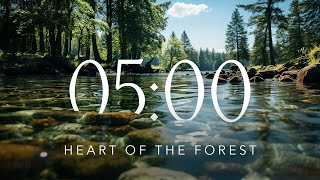 Forest 🌲 5 Minute Countdown Timer with Calm and Relaxing Music + Soothing Alarm + Scenic Nature Film