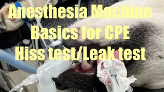 Basics of the Veterinary Anesthetic Machine and How to perform a Leak Test : CPE Anesthesia