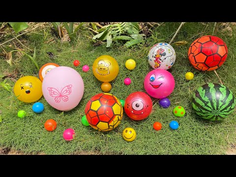 Bola Bola Fish