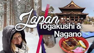 Download Lagu Togakushi Shrine in the Snow \u0026 Short Trip to Nagano! Japan Jan 2020 | thisNatasha | Tree Corridor MP3