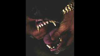 (FREE) Key Glock x Young Dolph Type Beat 2024 - 