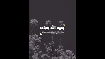 تلاوة/مشاري فالح