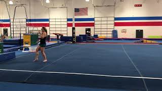 2018 Level 4 Showcase Floor Routine