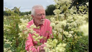 Meadowsweet with John Feehan
