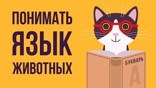 Что,если бы человек понимал ЯЗЫК ЖИВОТНЫХ Что,если бы человек понимал ЯЗЫК ЖИВОТНЫХ