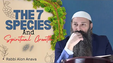 The 7 Species And Spiritual Growth - #1 | Rabbi Alon Anava.