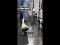 Merlín the duck becomes Mexico's World Cup mascot