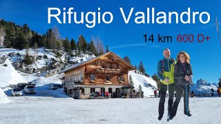 CORTINA: Cosa fare. Escursione al Rifugio Vallandro da Carbonin nella valle di Landro. DOLOMITI
