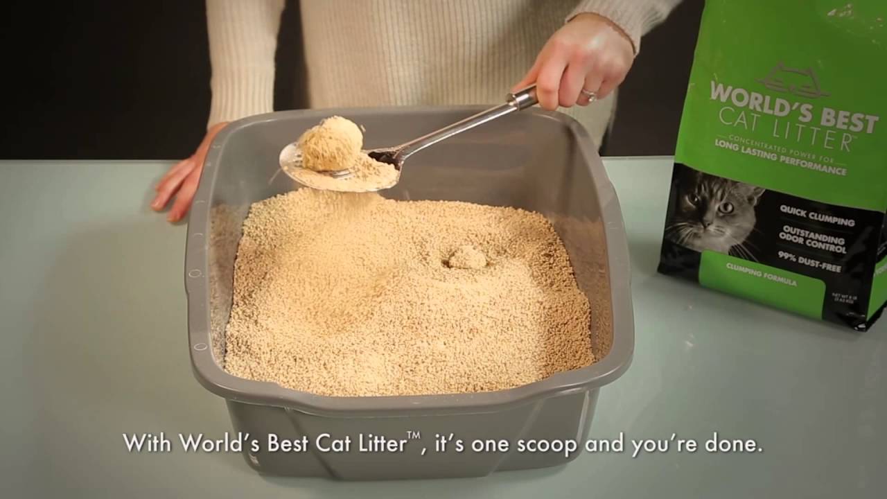World s Best Cat Litter   on The Lifestyle List Use Less 