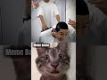 cat reaction 143 #cat #shorts #funny #memes #cute #jumpstyle