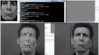 Active appearance model - Inverse compositional Net Worth