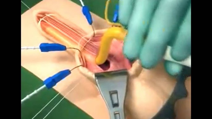 Жеке транссексуалды бейне