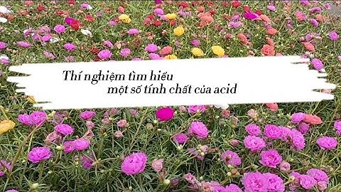 So sánh tính acid của acid citric và acid marlic