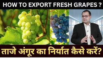HOW TO EXPORT FRESH GRAPES FROM INDIA | GLOBAL BUSINESS EXPERTS | GRAPES EXPORT IMPORT #grape