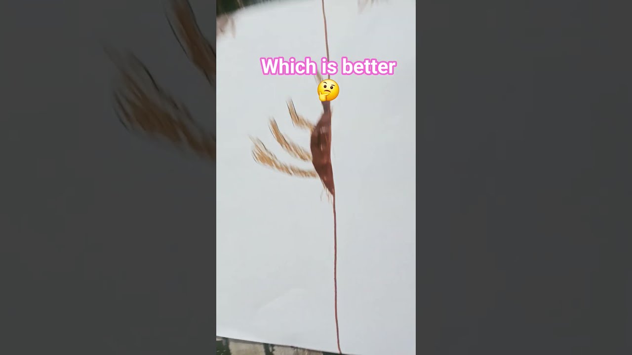 Which Is Better 