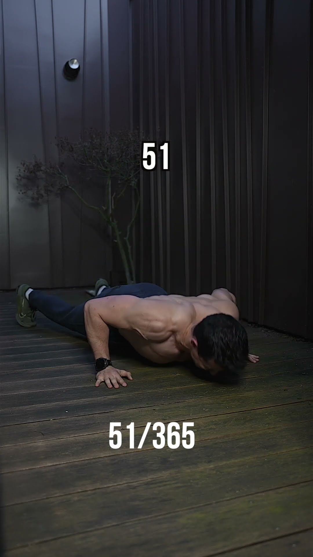 Day 51/365 challenge one more push-up everyday during 1 year ! ?