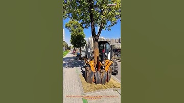 The Art of Tree Transplanting with a Tree Spade Machine