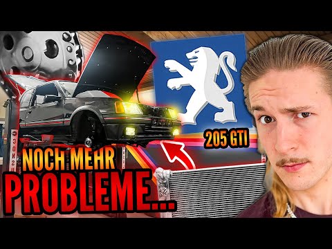 CHAIN RATTLING & RADIATOR FAILING!? | WORST FEARS for the PEUGEOT 205 GTI PROJECT!
