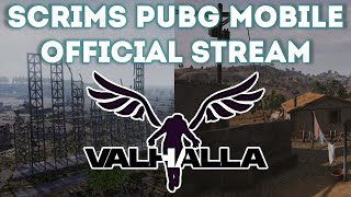 SCRIMS BY VALHALLA | PUBG MOBILE | OFFICIAL STREAM